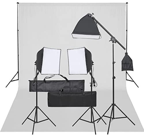 vidaXL Fotostudio-Set mit Beleuchtung und Hintergrund, Studio-Kit, Tageslicht-Lampe, Studio-Beleuchtung-Set, Studio-Licht, Fotografie-Licht