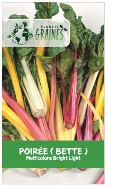 50 Graines de Poirée Multicolore Bright Lights - Bettes aux Cardes Colorées - Légume Facile à Cultiver pour le Jardin