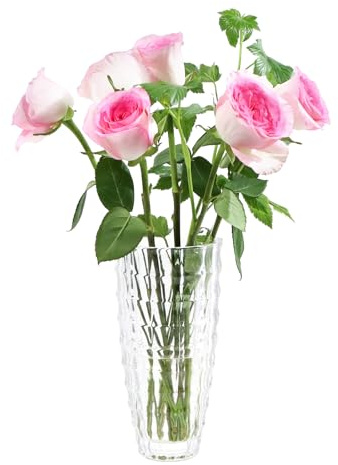 ASSRECT Vaso Vetro Trasparente 22cm Vaso di Vetro Vaso Fiori Vetro Alto Centrotavola Moderno Vaso Fiori in Stile Minimalista per la Casa, Soggiorno, Tavolo, Ufficio