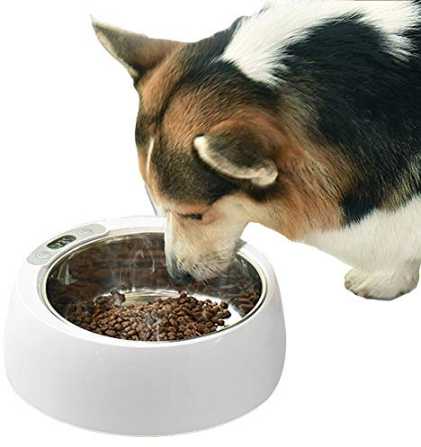 Ciotola Per Cani Riscaldata Per Animali Ciotola Per Acqua Termica in Acciaio Inossidabile Ciotola Per Riscaldamento Elettrico Per Alimenti Inverno Temperatura Costante Automatica Per Interni ,Round