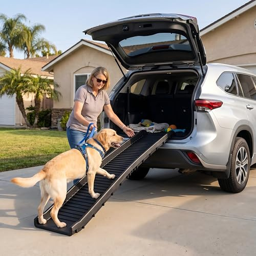 PawStep 61 Folding Pet Ramp, Portable Dog Ramp for Cars, SUVs, Beds & Couches, Lightweight PP Construction, Textured Surface, Optional Carpet for Added Traction, 165 lb Capacity (50524)