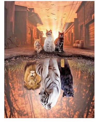 DCIDBEI Diamond Painting Quadratische Steine Katze Tiger Weiß 40x50 cm | Tiere Diamond Painting Tiger Spiegelbild Diamond Painting Tiger Lion Leoopard Katze Spiegelbild