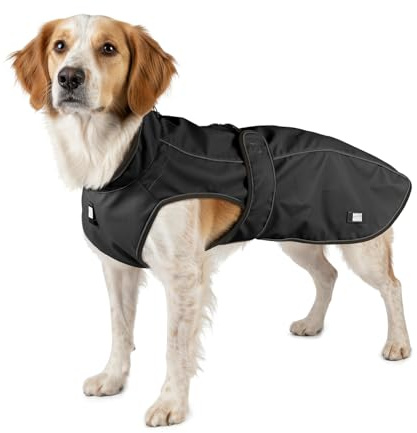 Max & Molly Regenmantel Hund wasserdicht, M, Schwarz, Sportliche Regenjacke für Hunde mit verstellbarem Bauchgurt, Reflektierend und Sicher, Regenjacke Hund mit Geschirröffnung