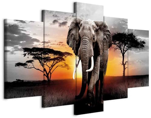 murando - Akustikbild Akustikbild Afrika, Schallschutz, Wohnzimmer, Büro