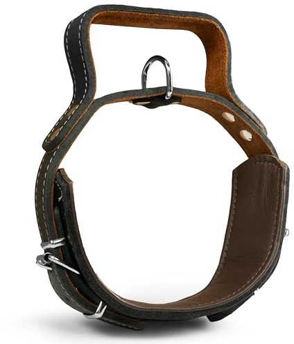 Hundehalsband mit Griff, 65cm x 60mm, Dickes qualitativ hochwertiges Leder | Erziehungshalsband, robustes taktisches Halsband bis zu 12cm verstellbar, weich gepolstert