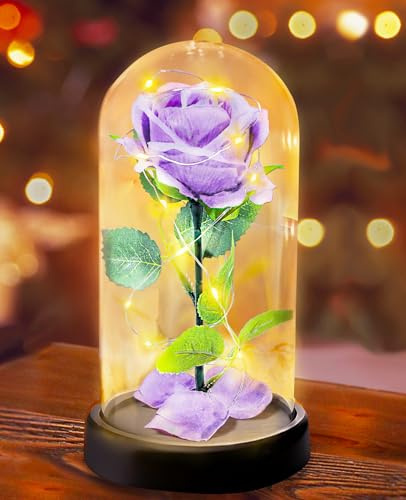 Touloube Rose Eternelle sous Cloche Cadeau Femme - 1 Rose de Soie Violette, Rose Dôme en Verre Fleur Artificielle avec LED Lumières, Cadeau pour Femme,Maman,Grand-mère