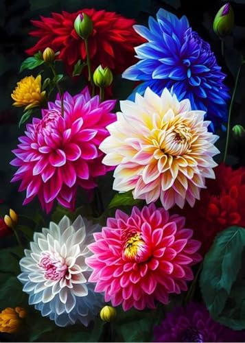 Dalias/natural,perenne,paisajismo,Fragancia,decorativas,de largo período de floración,Rosas cortadas,Elegante,excelente efecto de visualización,romántico.-4bulbos-E
