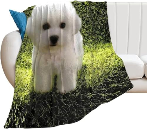 Kuscheldecke Flauschig Süßer Hund 3D Decke 130x150 Tier Wohndecke Haustier Weich und Warme Flanell Fleecedecke für Sofadecke Couchdecke Tagesdecke 4951y