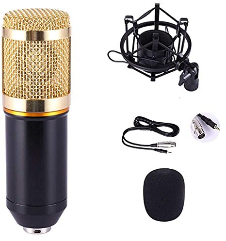 WDWDW Home Studio Condenser Mic Kit,Live Sound Card Microphone Set Condenser Microphone Anchor Computer Condenser Microphone Shout Microphone,Condenser Microphones Vocal Microphones