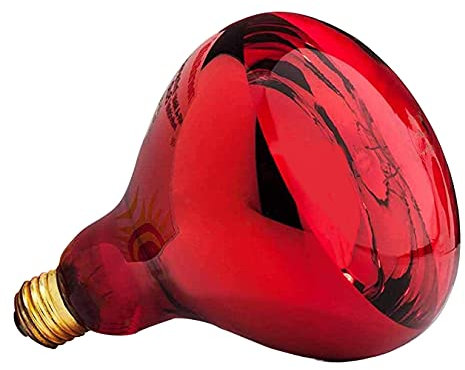 Boston Tech Lampada a infrarossi flessibile per termoterapia. Rapido sollievo per il dolore muscolare (Lampadina)