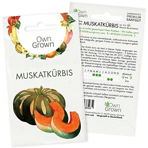 Muskat Kürbis Samen: Premium Muskatkürbis Samen für 6 wüchsige Gemüse Pflanzen – Saatgut Kürbis – Gemüse Kürbis – Gemüsesamen – OwnGrown Seeds