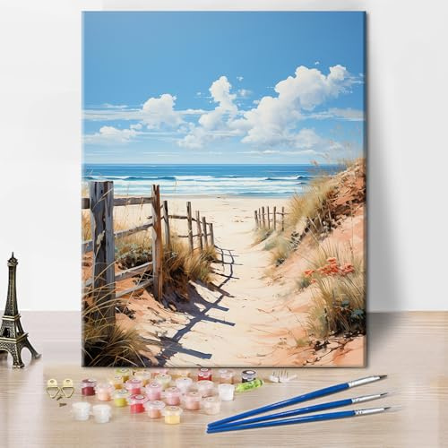 TISHIRON Beach Einfaches Malen Nach Zahlen Set Für Erwachsene | Zaun 40 x 50cm ungerahmte ölmalerei kit mit acrylfarben und 3 pinsel landschaft am meer DIY handwerk für geschenk heimdekor