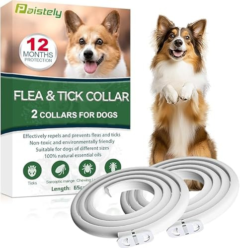 Collar Antiparasitario Perros, Seguro y Eficaz Collar Antipulgas Perros Hecho de Aceites Esenciales, Collares Antipulgas para Perro de 12 Meses de Eficacia para Perro de Todos (65cm (2 Pack))
