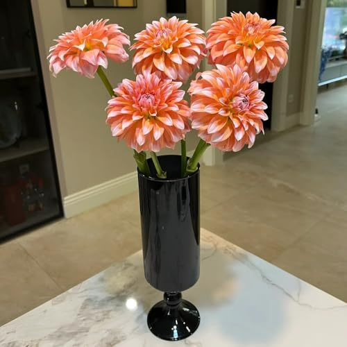 Tuberi di dalia, resistente, balcone aiuola rialzata esotiche decorazioni 2pcs