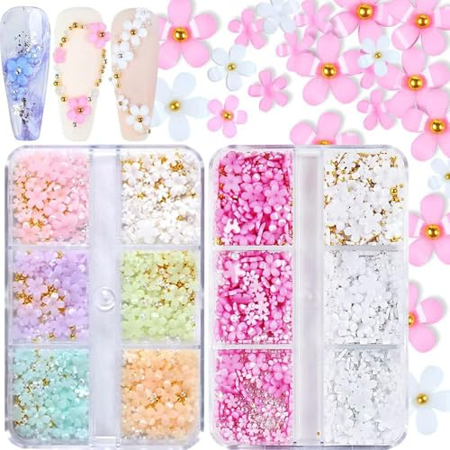 GZMAYUEN 2 Boîtes 3D Fleur Nail Art Charmes d'ongles, Résine Pétale Acrylique Nail Art Ornement Or et Argent Perles Mixte DIY Bijoux Nail Design Accessoires