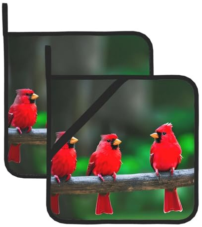 Set di presine resistenti al calore con stampa di simpatici uccellini rossi – Hotpad quadrati per cottura, grigliate, barbecue e cucina