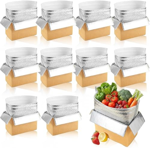 10 Pack Insulated Shipping Box - Cold Shipping Boxes With Foil Liner Bags, Professional Reusable Insulated Shipping Boxes for Frozen Food Suitable for Commercial Delivery And Personal Mailing Needs