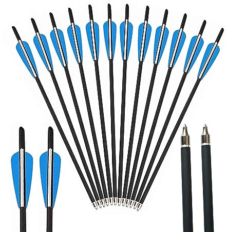 AMEYXGS 12pcs Mixed Carbon Pfeile 16 17 18 20 22für Jagd oder Bogenschießen Praxis für Compound- und Recurve-Bögen Traditionelles Bogenschießen im Freien (18, blau)