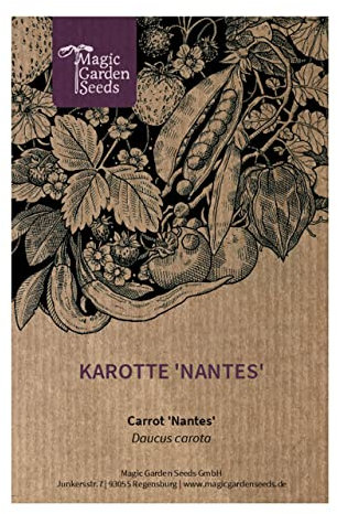 Carota nantese (Daucus carota) - circa 800 semi