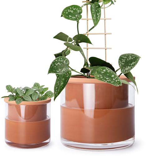 Phoenix Vine 51-A-G-46 selbstbewässernde Blumentöpfe, Design Terrakotta-Töpfe für Pflanzen, Zylinder-Terrakotta-Pflanzgefäß mit Glasvase, 10,2 cm, 15,2 cm