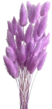 Aniyan 50 Stück Kaninchenschwanzgras Getrocknet Trockenblumen, Flauschige Bunny Tails Strauß, Lagurus Trockenblumen Deko für Vase Hochzeit Boho Wohnzimmer Tischdeko (Hellviolett)