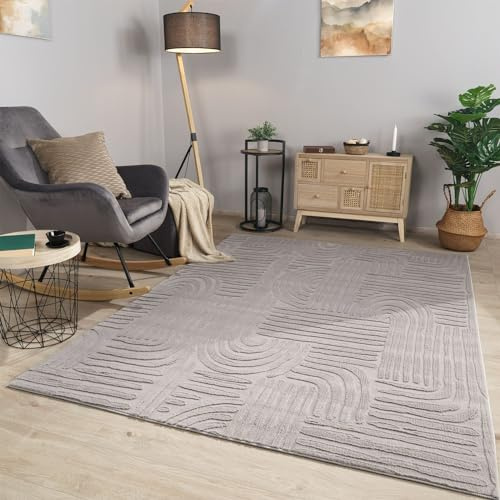 TT Home Wohnzimmer Teppich Esszimmer Kurzflor Geometrische Optik Skandi Boho Unifarben, Farbe:Grau Silber, Größe:80x150 cm