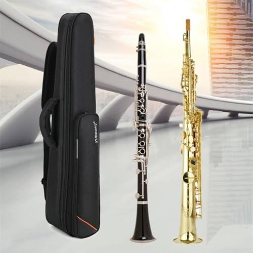 Lastdaytime Estuche de almacenamiento para clarinete, tacto delicado, a prueba de golpes y anticolisión, tela Oxford negra