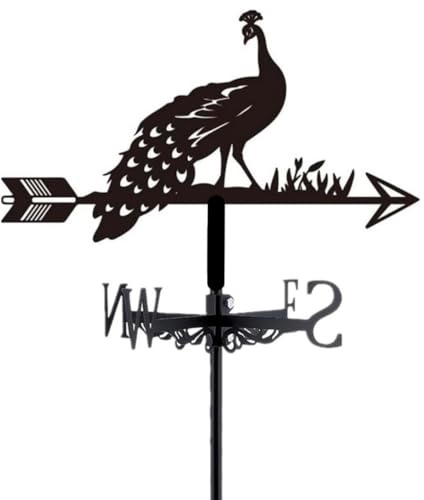 Girouette en métal en Forme de Coq, décoration d'extérieur pour Jardin, Ferme, arrière-Cour (C)