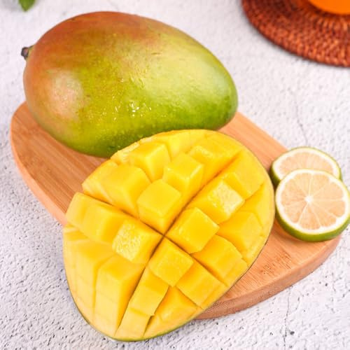 Semi di mango, giardino di da piantare, regali per gli amanti del giardino semi di semi rari da fresca 4pcs