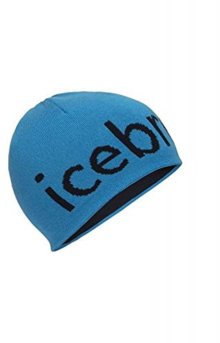 Icebreaker Ice Breaker Unisex Beanie - Unisex-Mütze für Erwachsene