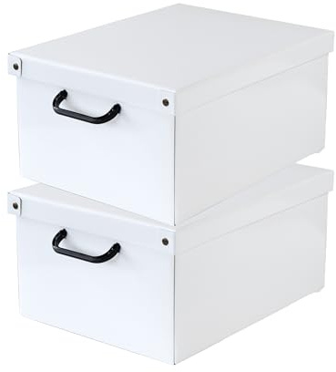 Lavatelli Set 2 Scatole Armadio Portaoggetti con Coperchio – Organizer Cambio Stagione in Cartone 32 x 42 x 21 cm Bianco – Made in Italy, Resistenti, Facili da Montare, con Maniglie