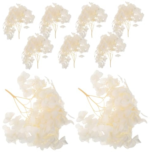 ABOOFAN Ortensie Essiccate Naturali Decorazione Preservata per Matrimoni Centrotavola Confetti per Bagno e Composizioni Te