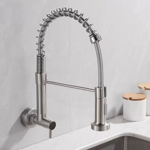 Robinet de Cuisine Eau Froide Mural Acier Inoxydable 2 Modes-Brossé