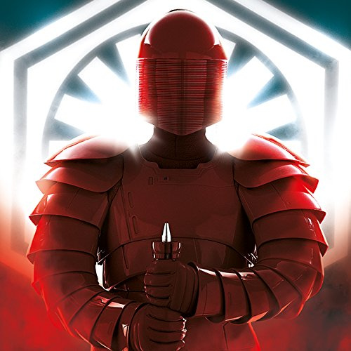 Star Wars The Last Jedi-Elite Guard Defend Canvas Leinwanddruck, Mehrfarbig, 40 x 40 cm