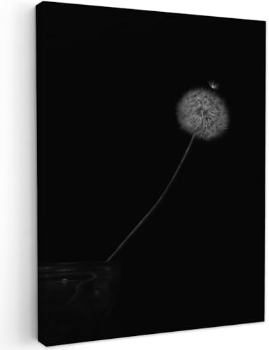 MuchoWow© Leinwandbild Dekoration Wohnzimmer Bilder Aufhängen Wall | 60x80 cm - Decoration Living Room Wohnungs Deko Moderne Wanddeko Schwarz - Schwarze Leinwand - Löwenzahn - Pusteblume