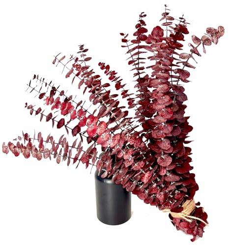 (20Pcs) Dried Eucalyptus Stems - Red, Fall Decorations for Home, Real Long Eucalyptus, Dried Flowers for Vase, 17 Floral Arrangement, Wedding