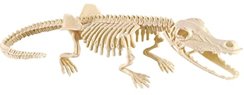PUCHEN Dinosaurier-Ausgrabungssets für Kinder | Kreative Dinosaurier-Ausgrabungssets | Pädagogisches Geschenk für Science Dino Sand Dig Par Favor Decor