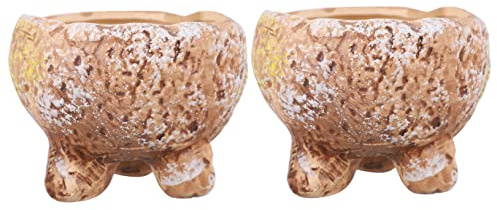 Toddmomy Maceta Suculenta Pintada a Mano para Interior y Escritorio, 2 Unidades, Pequeña Cerámica Esmaltada, Maceta De Cactus y Bonsái, Decoración Hogar y Oficina