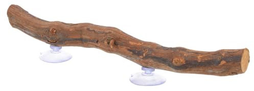 Abaodam Grape Wood Stand for Bearded Dragon Accessories Wooden Tree Branch for Reptile Climbing Rack Reptile Accessory Natural Grapevine Wood Decorative Log for Lizard Habitat