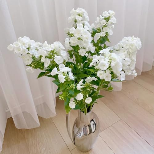 50 pcs Phlox Pflanzen Winterhart Mehrjährig Blumensamen Bienenwiese, Geschenke Für Pflanzenliebhaber (Phlox Drummondii) Blumen Samen, Geschenke Für Gartenliebhaber Bienenfreundliche