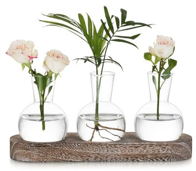 Hewory Terrarium Plant Propagation Station: Desktop Glass Terrarium Hyacinth Bulb Vase with Vintage Wood Tray, Avocado Vase Hydroponics Propagators for Plants, Small Glass Vase for Plant Gifts, 3pcs