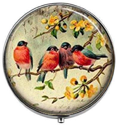 Red Robin Bird – Boîte à pilules – Boîte à dragées en verre