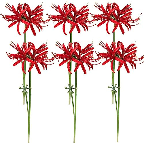 Qingriver 6 Stems 26.38 Inch Artificial Lycoris Radiata Spider Lily Flowers for Home Garden Decoration Red