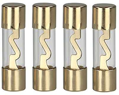 Glassicherung AGU Sicherung 40 Ampere 4 Stück Fuses
