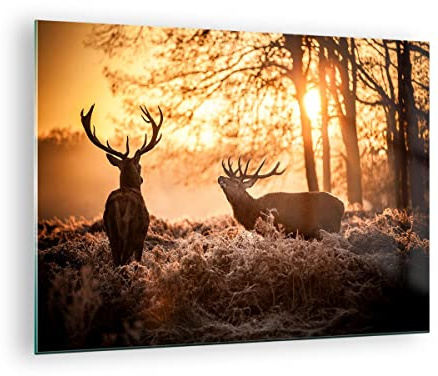 ARTTOR Bilder auf Glas 70x50cm Wandbild Glasdruck Natur Tiere - 3043 | Reh Heidekraut Tier Klein Modern Dekoration Wohnzimmer Schlafzimmer Küche Wanddeko Kunstdruck Art Wall Decor ARTTOR