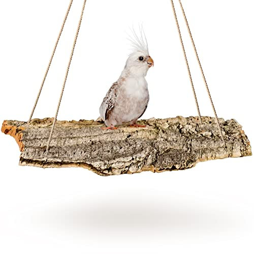 Kork-Schaukel XXL 50x20 cm für Vogel-Volieren. Schaukel aus Naturkork zum Anknabbern & Knuspern. | desinfiziert | Vogel Zubehör & Spielzeug aus Korkrinde (für Wellensittich, Papagei)