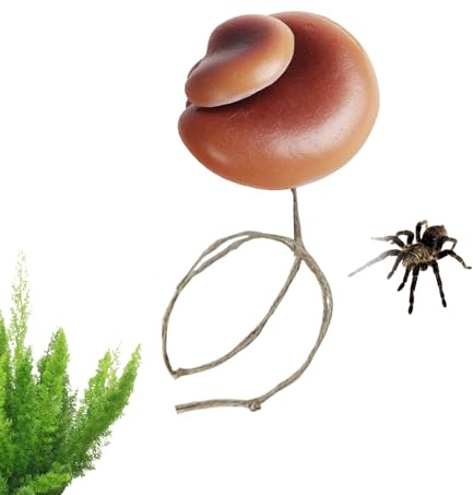 Springende Spinne Gehege – Kunstharz, magnetisches Ornament, Mini-Pilzkäfig-Zubehör, Bunte Lebensraum-Dekoration für Terrarien, Reptilien, Mantis, Skorpion, Kleintiere, kleine