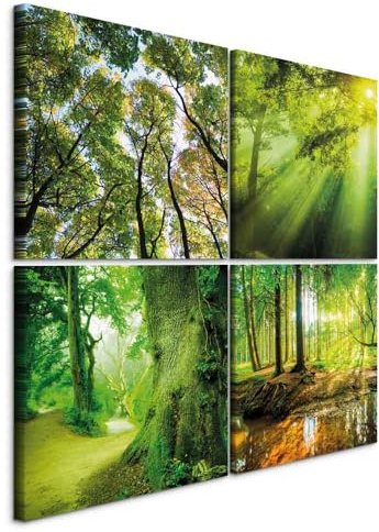 murando - Leinwandbild Set Natur grün Baum, 40x40 cm, 4-teilig, Wohnzimmer | Hochwertige Leinwand, sofort aufhängbar, ideal fürs Wohn- oder Schlafzimmer, wasserfest und lichtecht, langlebig, stilvoll