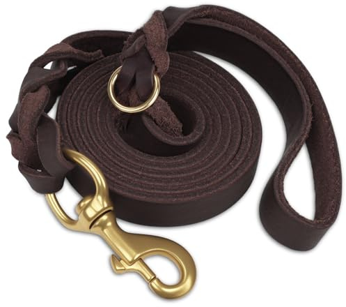 Joytale Hundeleine Leder, Strapazierfähige Lederleine Für Hunde Mit Stabilem Messinghaken, Weich Und Langlebig, Geeignet Für Kleine, Mittlere Und Große Hunde（Braun, 120cm×2cm）