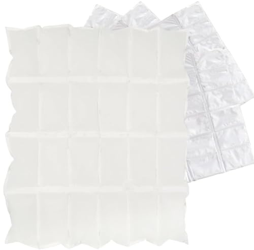 Wisylizv Ice Packs Cooler - Lunch Box Ice Packs | Protable Ice Pack Blocks Ice Pack Freezer Blocks | Dry Ice for Shipping Food | Kids Ice Camping Packs for Fishing, School